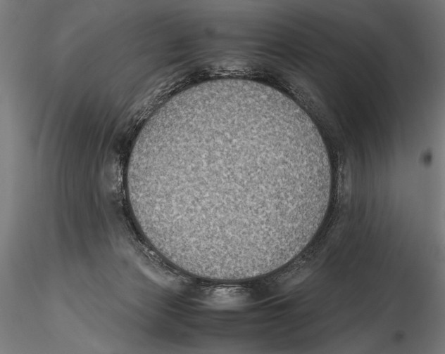 X0000115600173200912081122