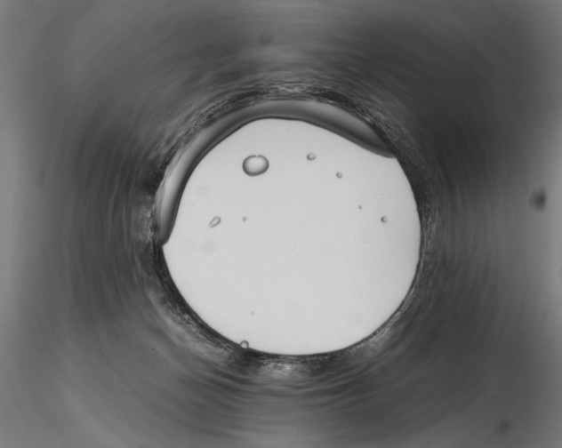 X0000115600174200912081122