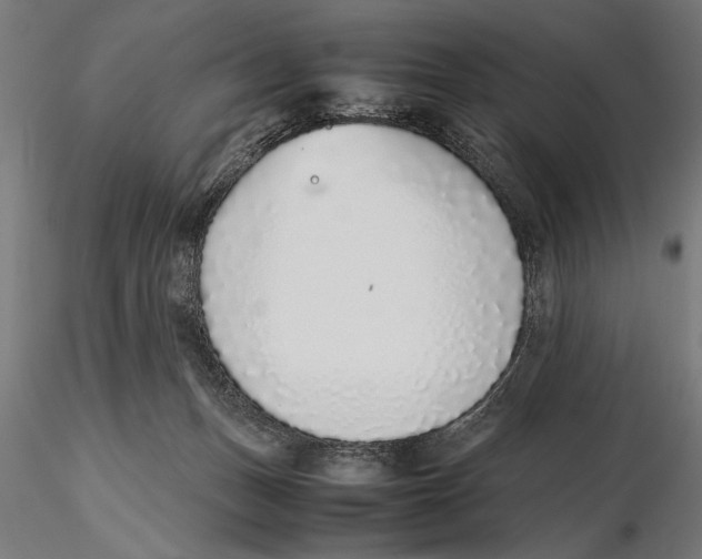 X0000115600175200912081122