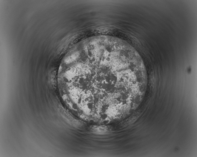 X0000115600181200912081122