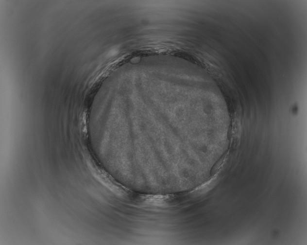 X0000115600182200912081122