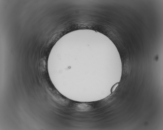 X0000115600183200912081122