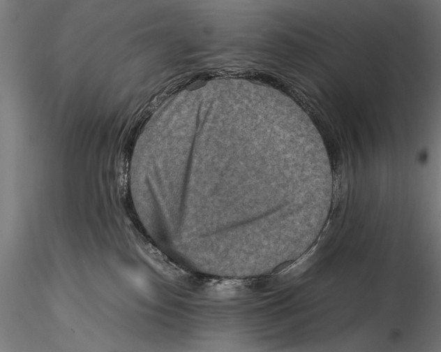 X0000115600186200912081122