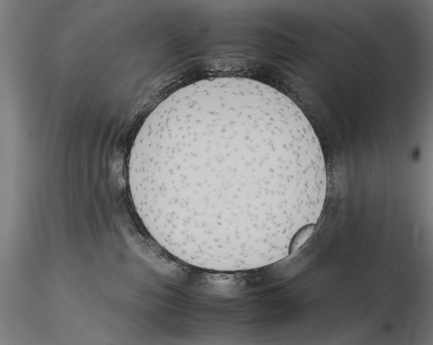 X0000115600187200912081122