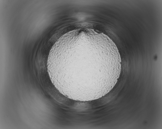 X0000115600189200912081122