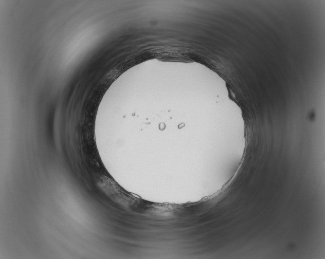 X0000115600190200912081122