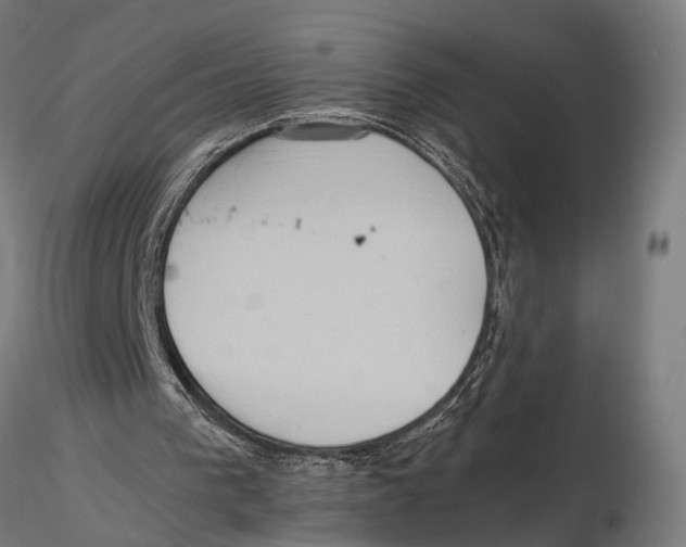 X0000115600193200912081121