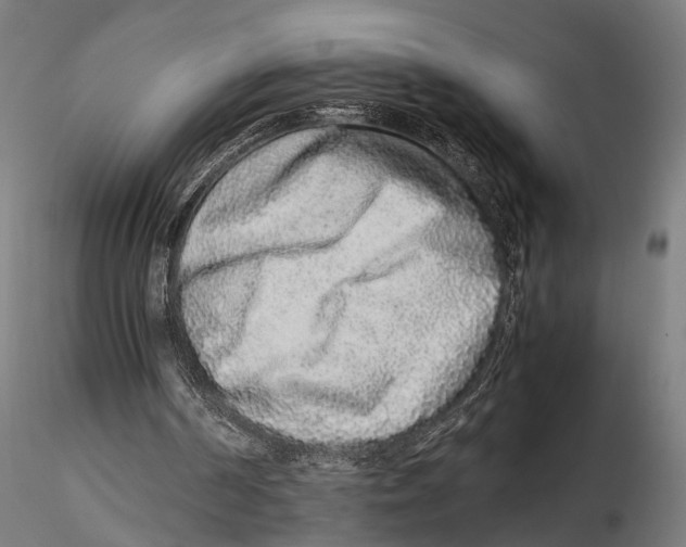 X0000115600194200912081121