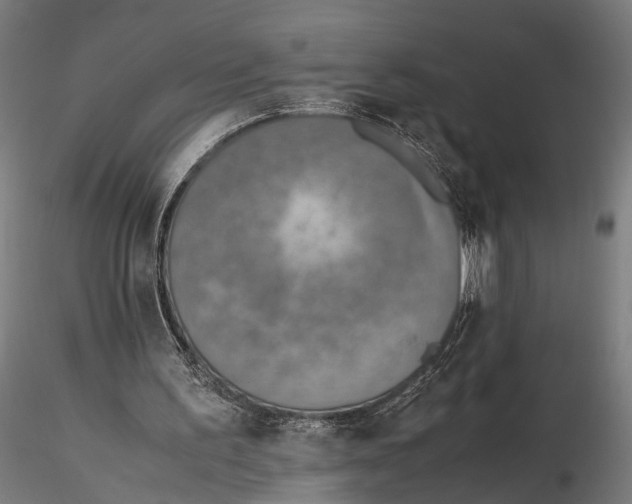 X0000115600195200912081121