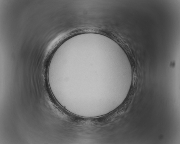 X0000115600197200912081121