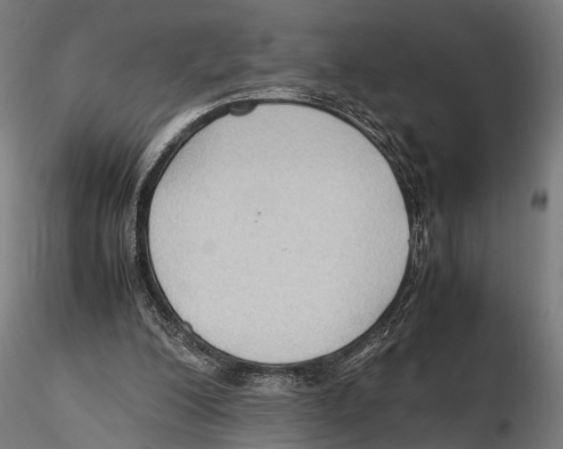 X0000115600200200912081121