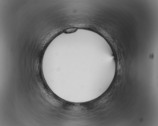 X0000115600201200912081121