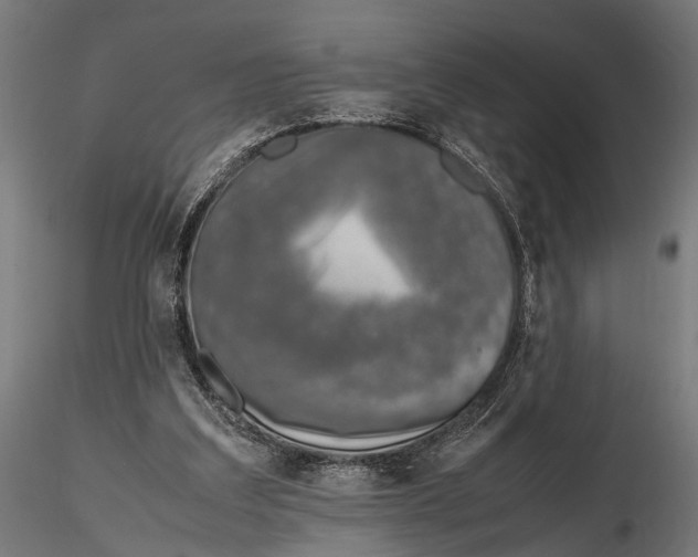 X0000115600203200912081121