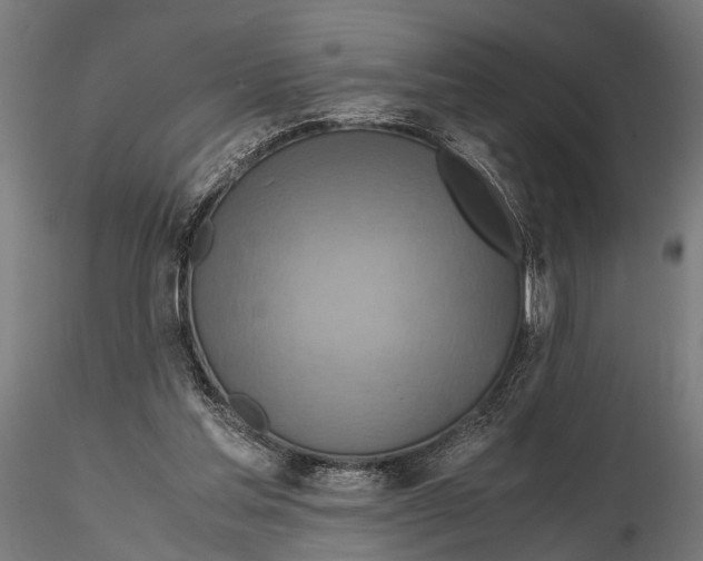 X0000115600205200912081121