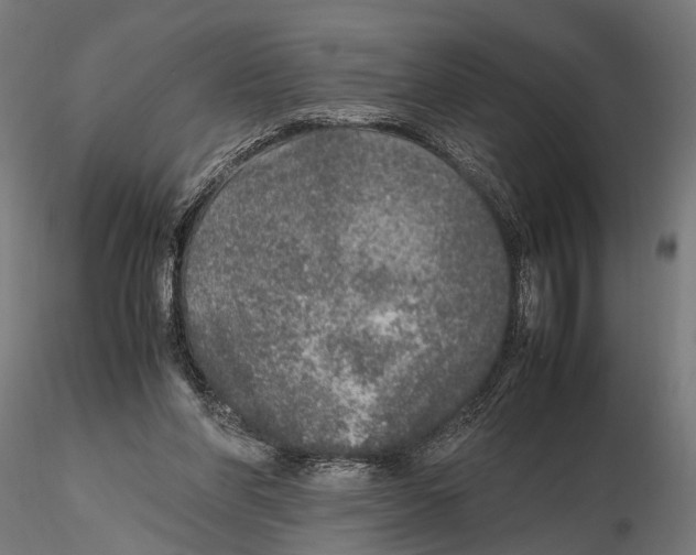 X0000115600206200912081121