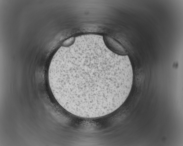 X0000115600207200912081121