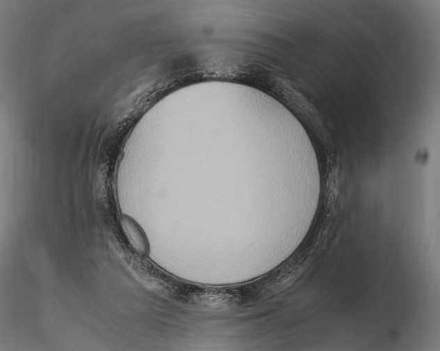 X0000115600209200912081121