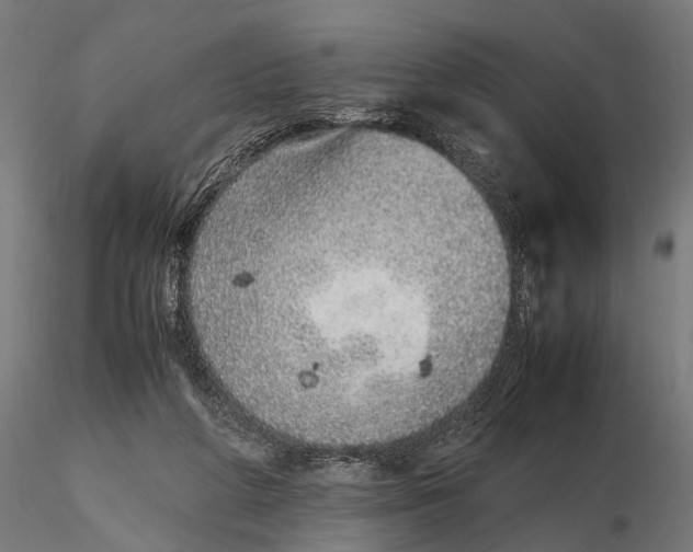 X0000115600210200912081121