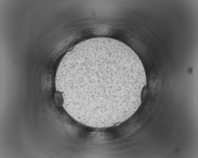 X0000115600211200912081121