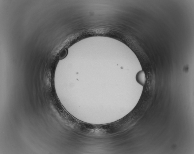 X0000115600212200912081121