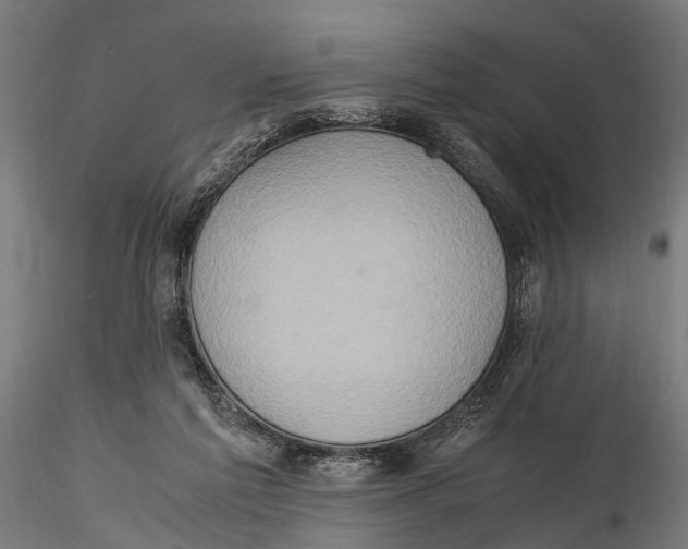 X0000115600213200912081121