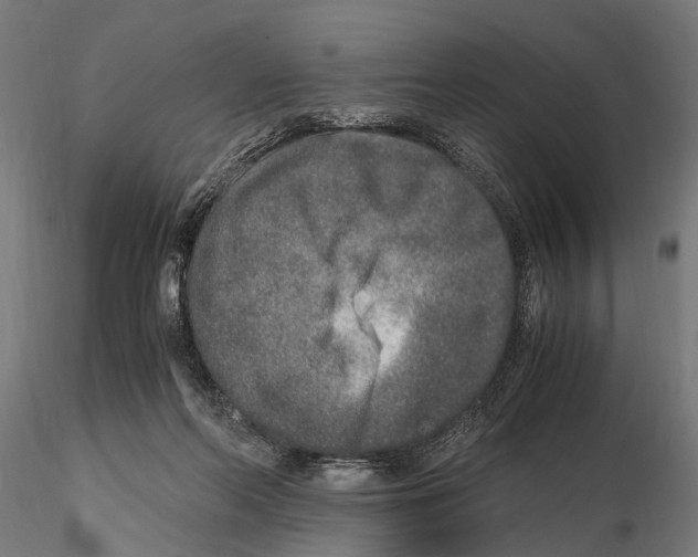 X0000115600214200912081121