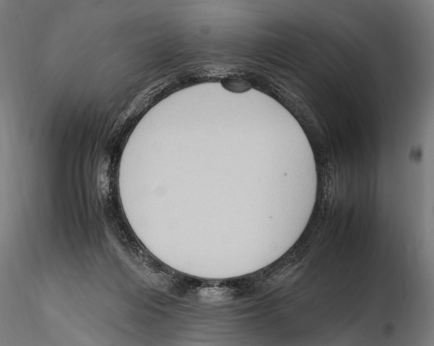 X0000115600216200912081121