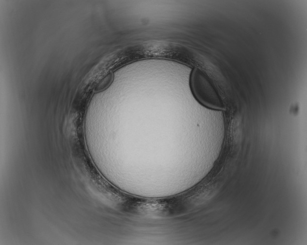 X0000115600217200912081121