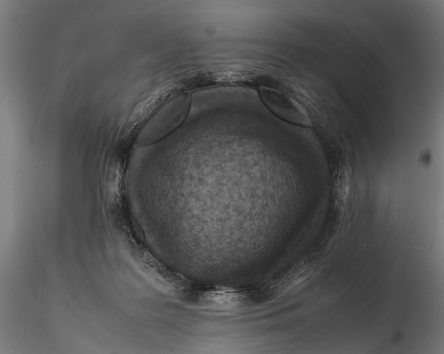 X0000115600219200912081121