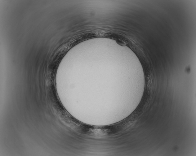 X0000115600221200912081121