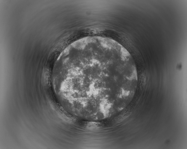 X0000115600222200912081121