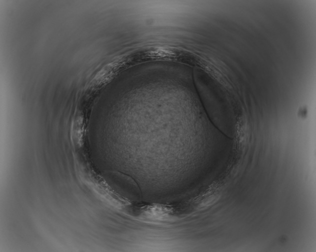 X0000115600223200912081121