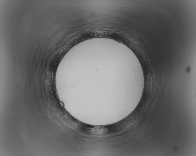 X0000115600225200912081121