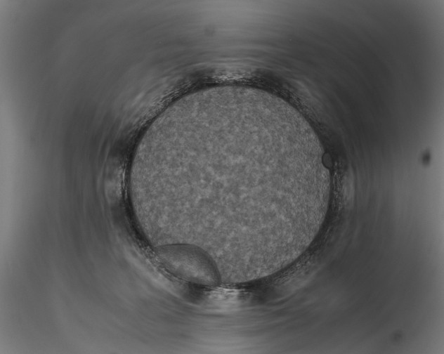 X0000115600227200912081121