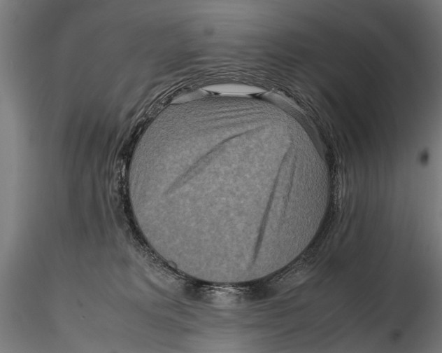 X0000115600229200912081121