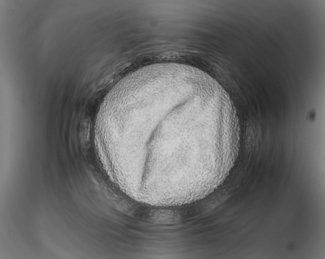 X0000115600230200912081121