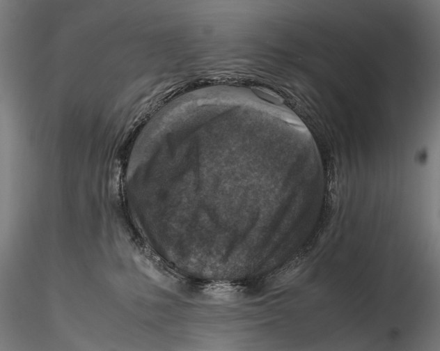 X0000115600231200912081121