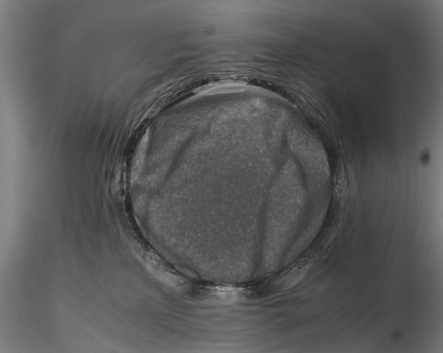 X0000115600233200912081121