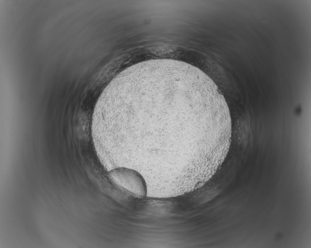 X0000115600234200912081121