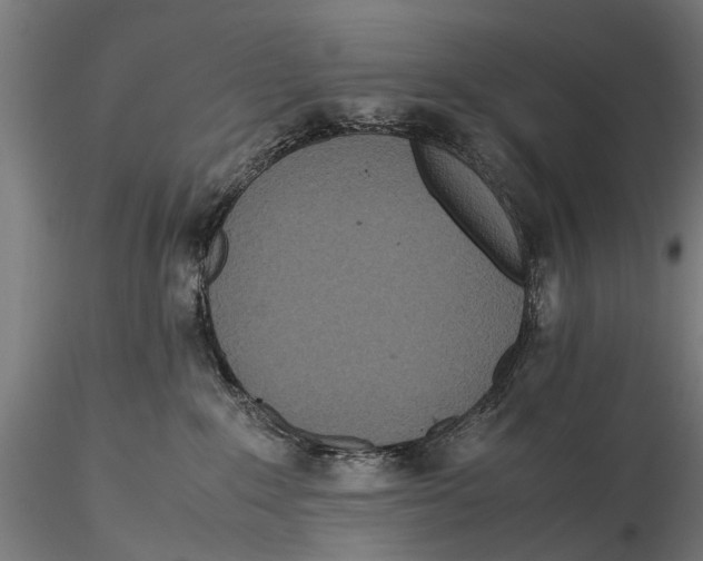 X0000115600235200912081121