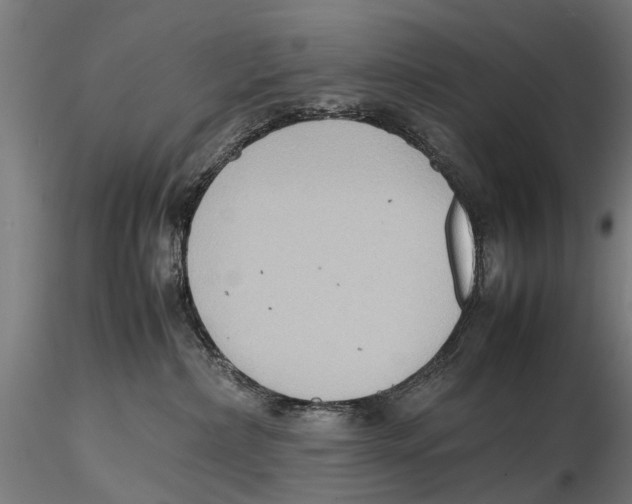 X0000115600236200912081121