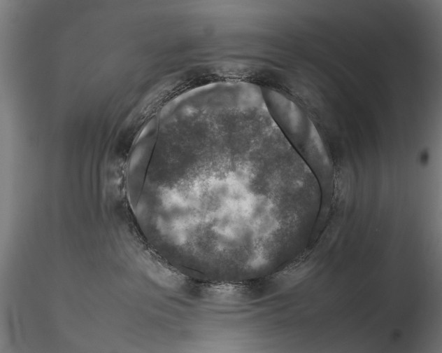 X0000115600237200912081121