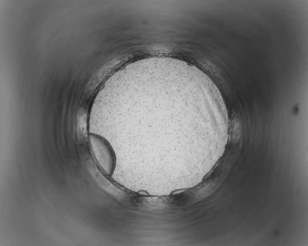 X0000115600238200912081121