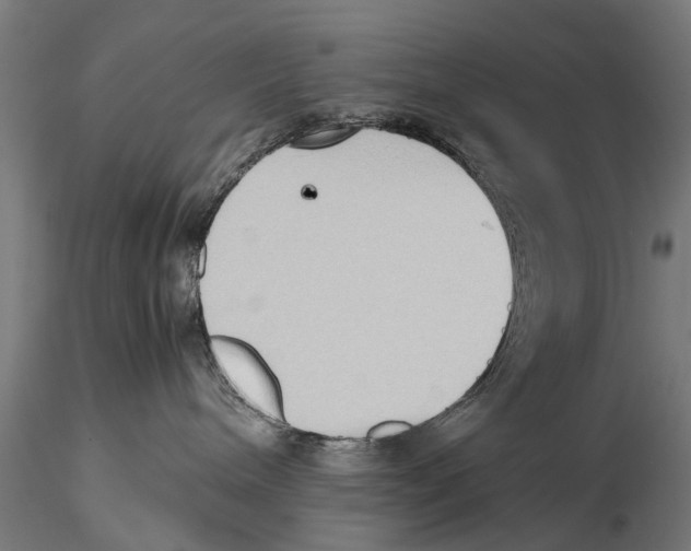 X0000115600240200912081120