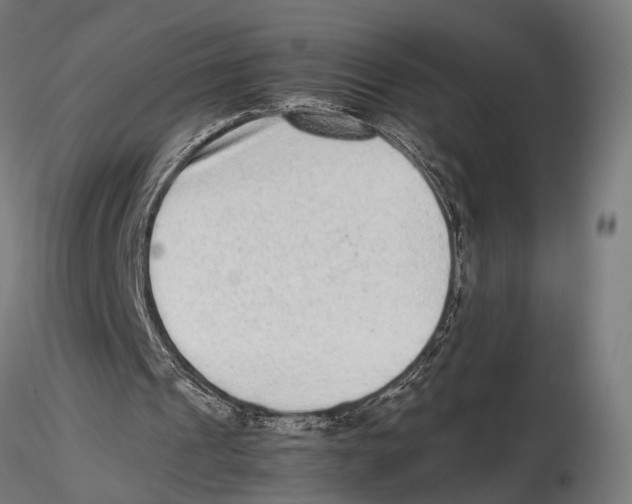 X0000115600241200912081120