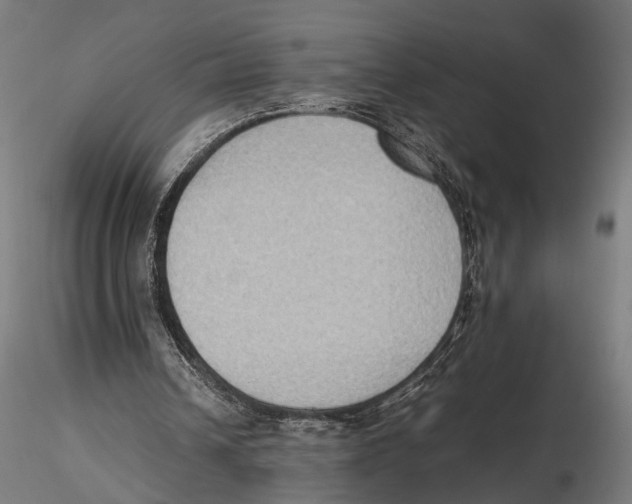 X0000115600242200912081120