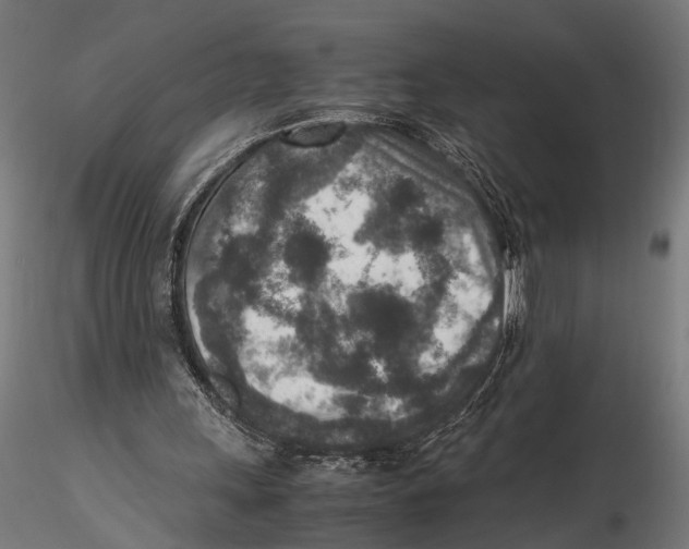 X0000115600243200912081120