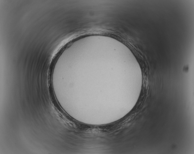 X0000115600244200912081120