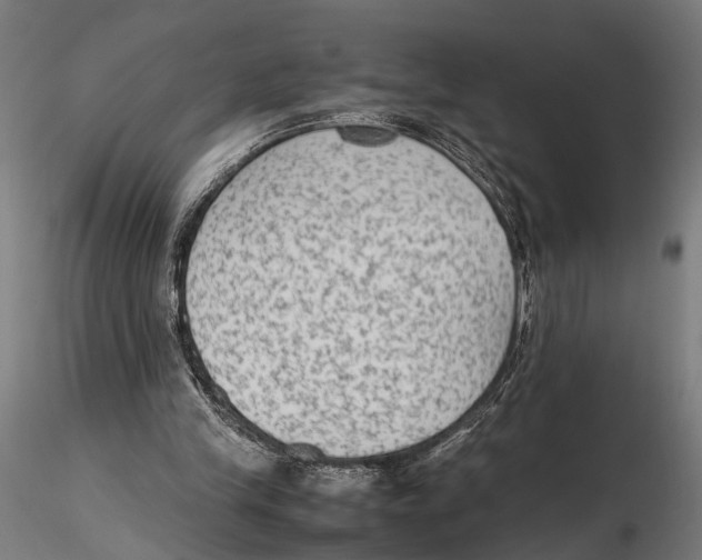 X0000115600245200912081120