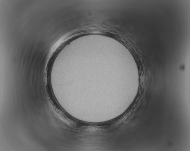 X0000115600246200912081120